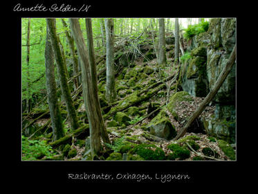 Reservat webb-30.jpg