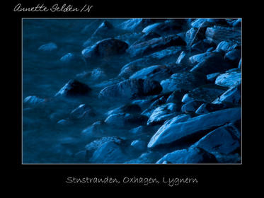 Reservat webb-31.jpg