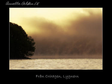 Reservat webb-32.jpg