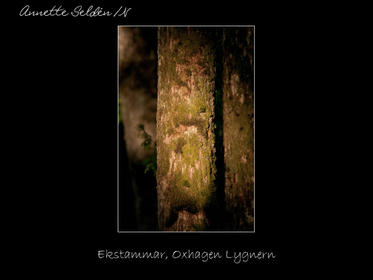 Reservat webb-34.jpg