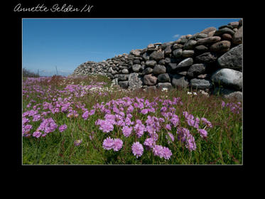 Nidingen 1-06.jpg Nidingen 1-06.jpg