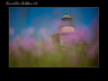 Nidingen 1-10.jpg Nidingen 1-10.jpg