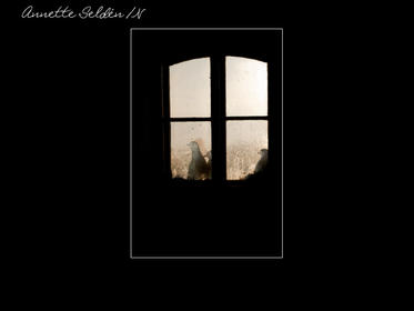 Nidingen 1-22.jpg Nidingen 1-22.jpg