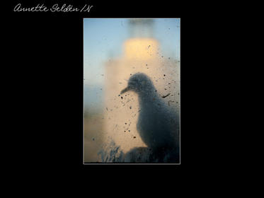 Nidingen 1-23.jpg Nidingen 1-23.jpg