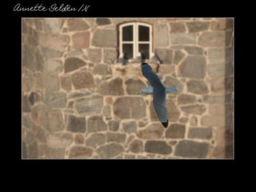 Nidingen 1-26.jpg Nidingen 1-26.jpg