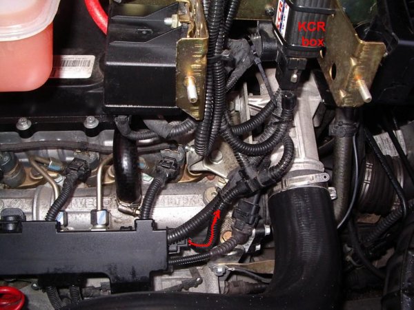 IMGP1555 [1280x768].JPG