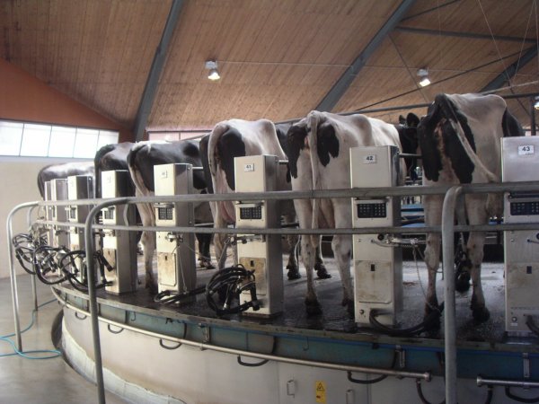 100613 032.jpg 100613 032.jpg