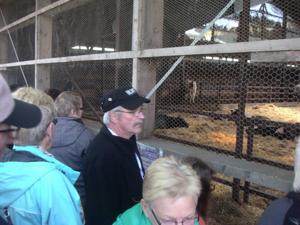 100613 030.jpg 100613 030.jpg