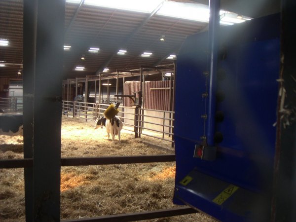 100613 031.jpg 100613 031.jpg