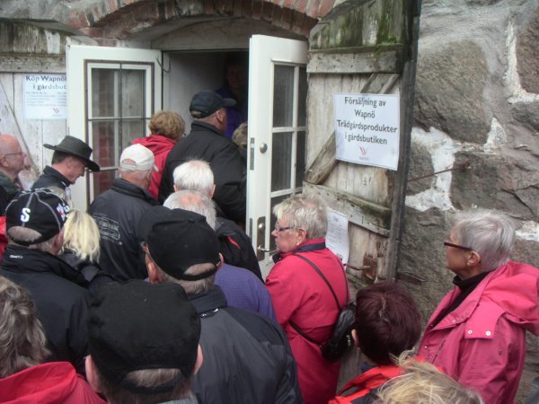 100613 027.jpg 100613 027.jpg