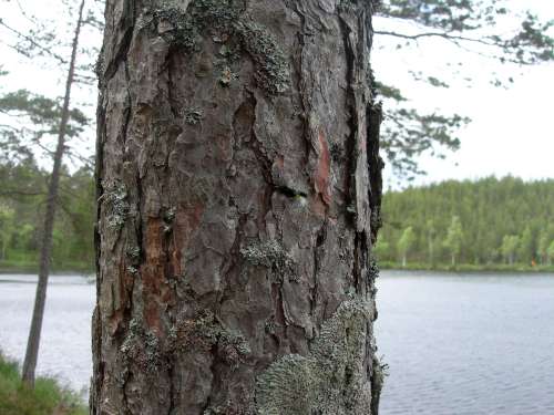 fvg7u+´å-500.jpg