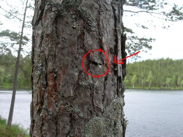 fvg7u+´å kopia 1.JPG