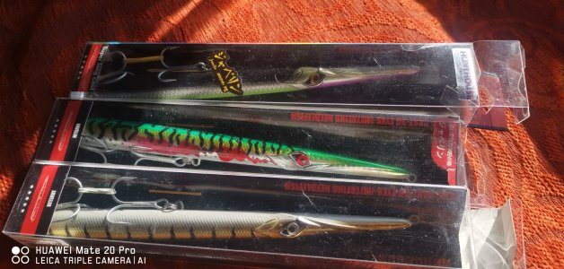 IMG_20230111_123717.jpg IMG_20230111_123717.jpg