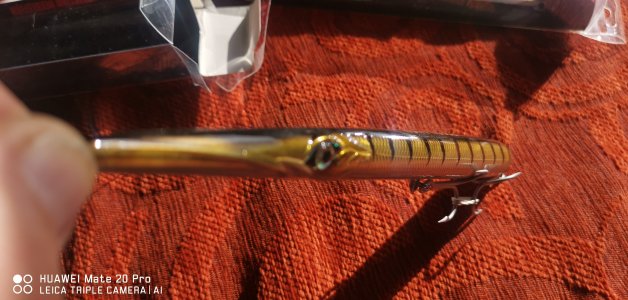 IMG_20230111_123833.jpg IMG_20230111_123833.jpg