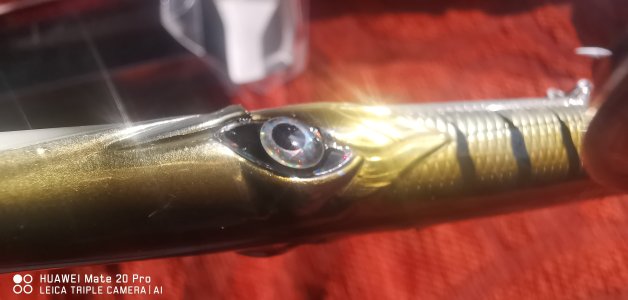 IMG_20230111_123949.jpg IMG_20230111_123949.jpg