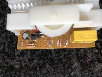 IMG_6337.jpeg IMG_6337.jpeg