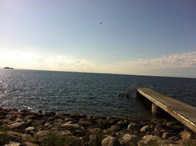 IMG_0183x - kopia.jpg