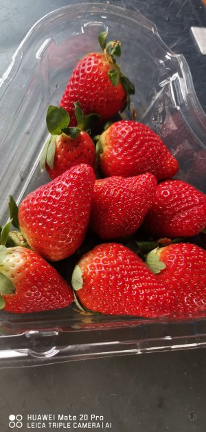 IMG_20230217_105426.jpg IMG_20230217_105426.jpg