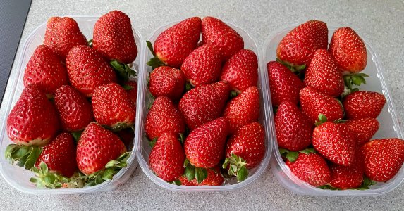 8CF1F93A-8EB9-4047-9C6B-9CCC6D9776B5.jpeg 8CF1F93A-8EB9-4047-9C6B-9CCC6D9776B5.jpeg