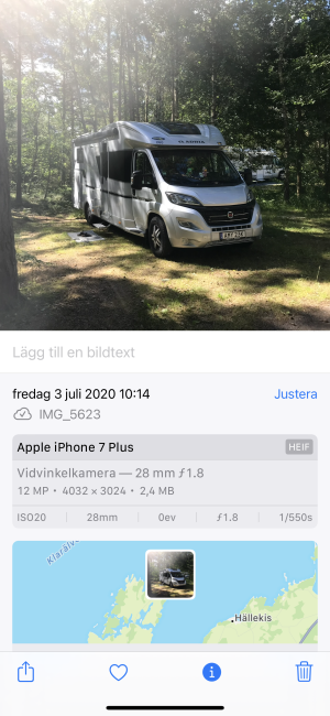 IMG_3196 (1).PNG