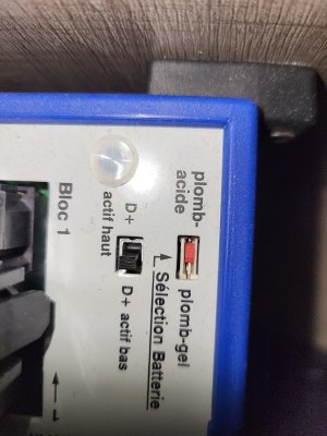 20230313_122535.jpg 20230313_122535.jpg