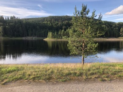 IMG_6007.jpeg