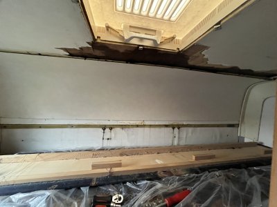 02FD6196-B8BD-4E83-A344-0B346AA3968D.jpeg 02FD6196-B8BD-4E83-A344-0B346AA3968D.jpeg