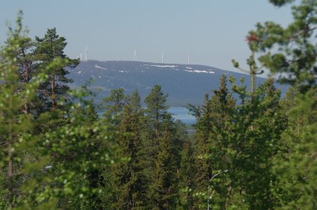 2017-06-14--090001.jpg