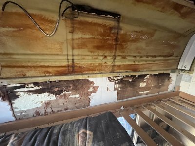 75102425-8A04-40B4-8EC9-B8A5BE9188FC.jpeg 75102425-8A04-40B4-8EC9-B8A5BE9188FC.jpeg