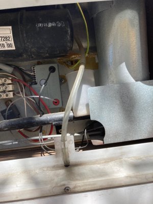 IMG_1902.JPG IMG_1902.JPG