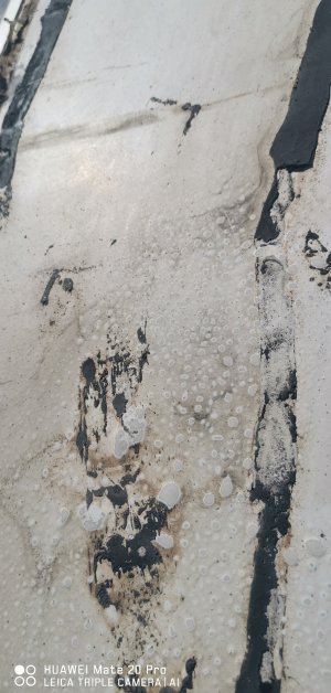 IMG_20220710_145002.jpg IMG_20220710_145002.jpg