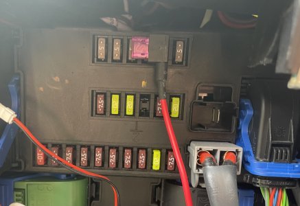 IMG_4117.jpeg IMG_4117.jpeg