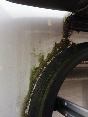 IMG_0602.jpeg IMG_0602.jpeg