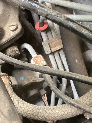 IMG_0080.jpeg IMG_0080.jpeg