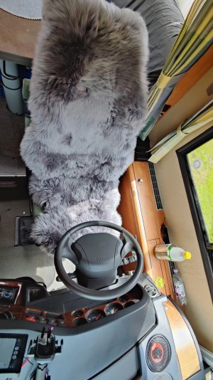 IMG20230717131721.jpg IMG20230717131721.jpg