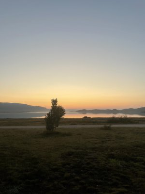 IMG_5340.jpeg