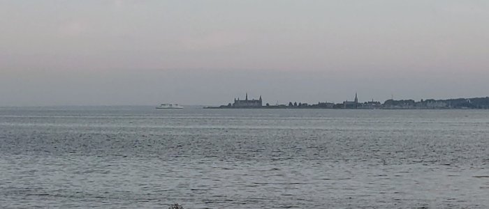 DSC_0907~2.JPG