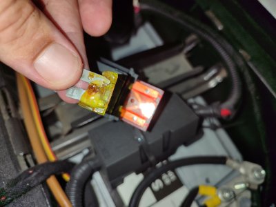 IMG_20230818_171254.jpg IMG_20230818_171254.jpg