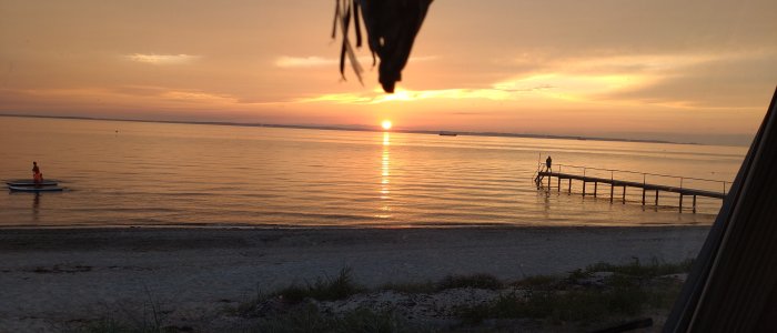 DSC_0929.JPG