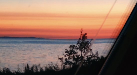 DSC_0948~2.JPG