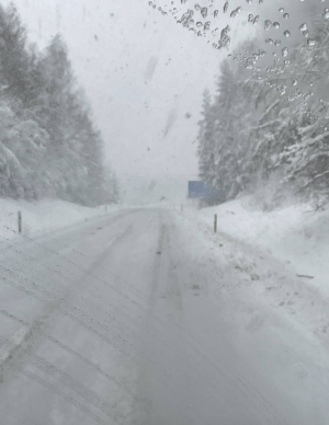 Screenshot_20231008-091429~2.png Screenshot_20231008-091429~2.png