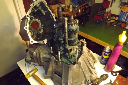 DSCF0219.JPG DSCF0219.JPG