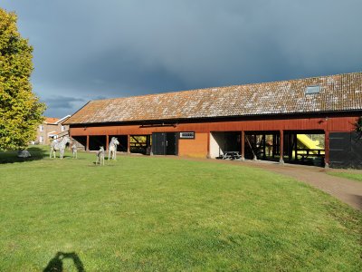 IMG_20231014_141014.jpg IMG_20231014_141014.jpg