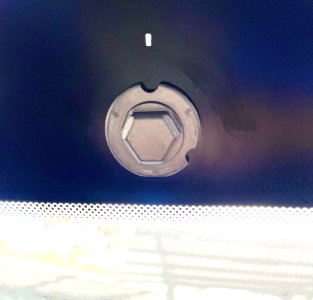 IMG_9654.jpeg IMG_9654.jpeg