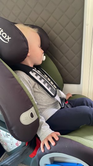 31D71A70-077C-4BA4-B13A-45B187092074.jpeg 31D71A70-077C-4BA4-B13A-45B187092074.jpeg