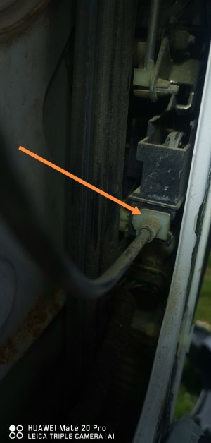 IMG_20240315_123828.jpg IMG_20240315_123828.jpg