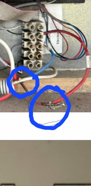 Screenshot_20240401_000708_Samsung Internet.jpg