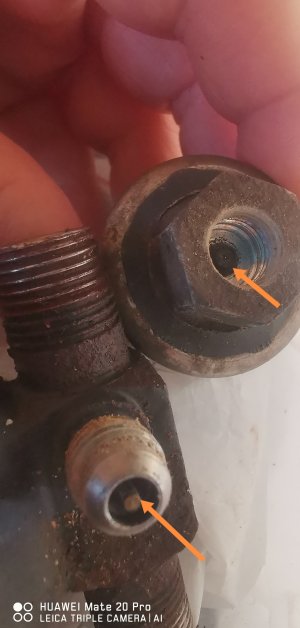 IMG_20240428_171028.jpg IMG_20240428_171028.jpg