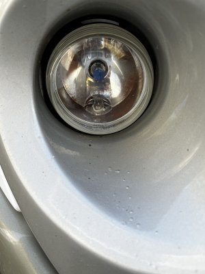 IMG_5775.jpg IMG_5775.jpg