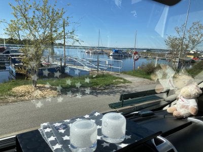 IMG_0073.jpeg